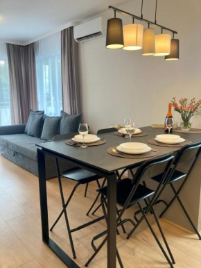Apartament nr 10 - Apartamenty Wakacyjna 5